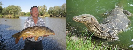 Vaal River